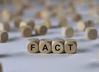 Steeds meer medewerkers in het notariaat Facts notariaat Notaris Unie