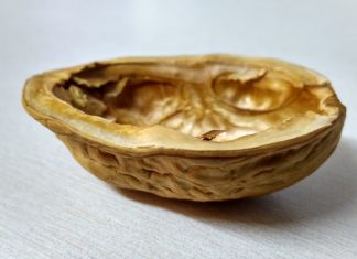 Aansprakelijkheid bv Notaris Unie