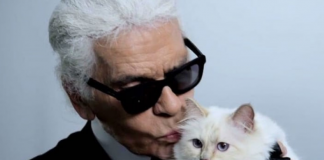 Poes Karl Lagerfeld