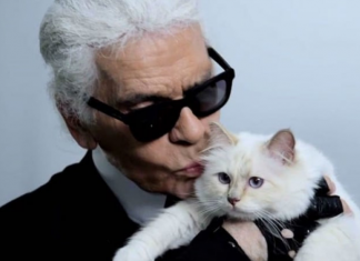 Poes Karl Lagerfeld