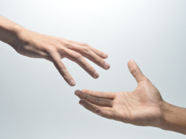 Bewind, curatele en mentorschap