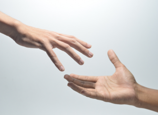 Bewind, curatele en mentorschap