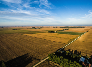 speculatieve grondhandel